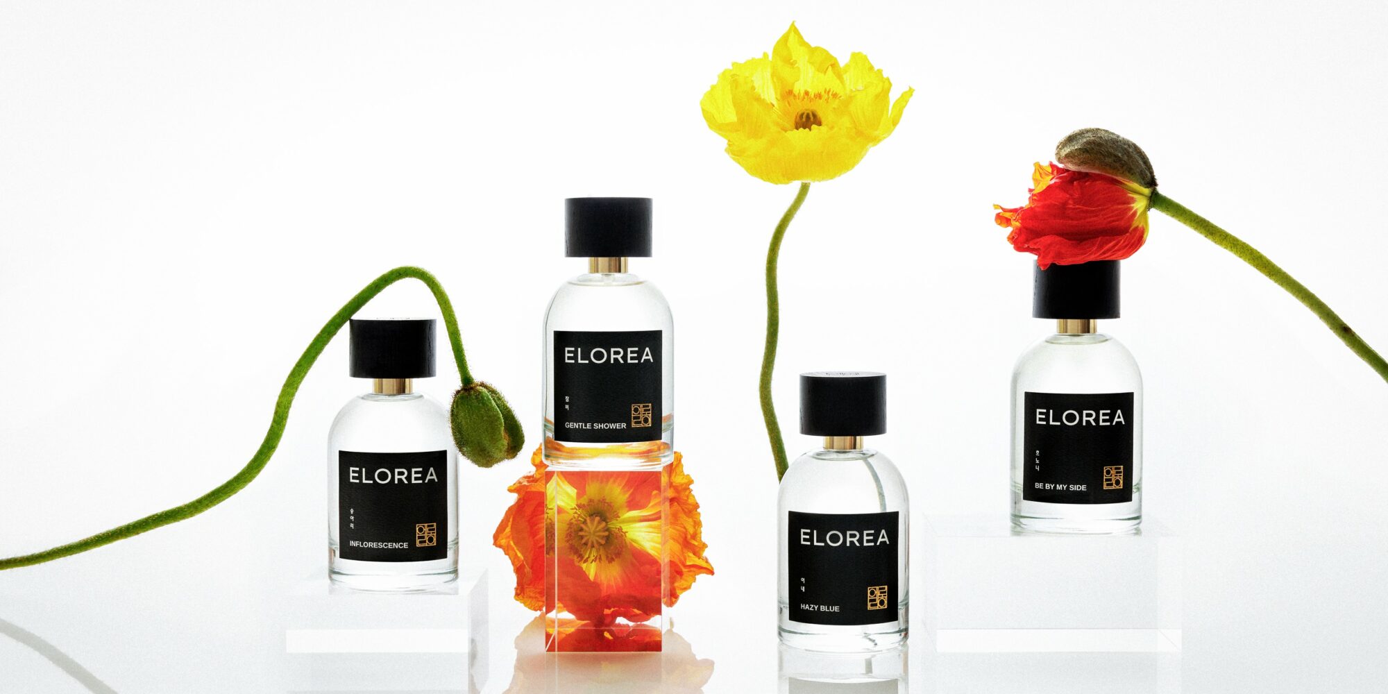 Trends That Will Rule Fragrance In 2024—And A Few That Definitely Won’t